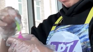 Es tiempo de mejorar tu raza pajero