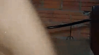 Mi prima amaneció arrecha