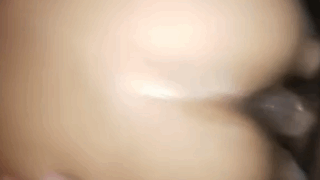 Cachera de perrito gimiendo