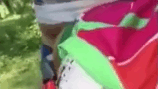 Rapidín en el campo