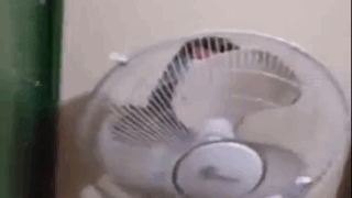 Venezolana cachando para pagar alquiler del cuarto